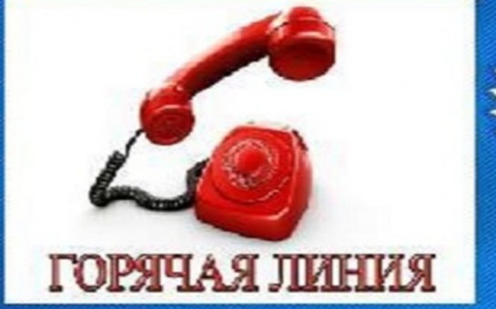 Горячая линия